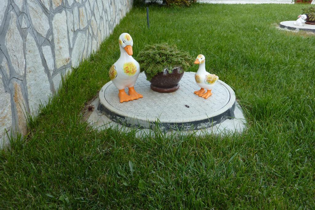 Guest House H Dzhogolanov Koprivstica Kültér fotó